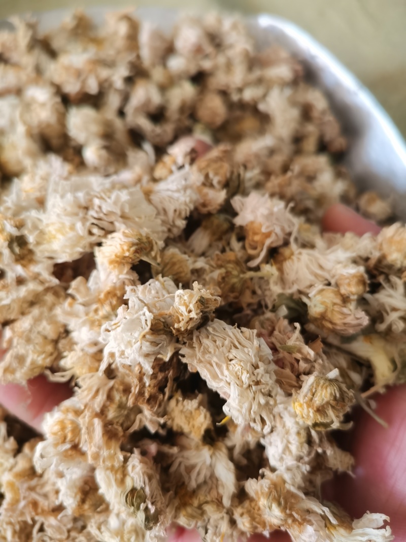菊花正品药用小朵菊花低价促销泽润中药