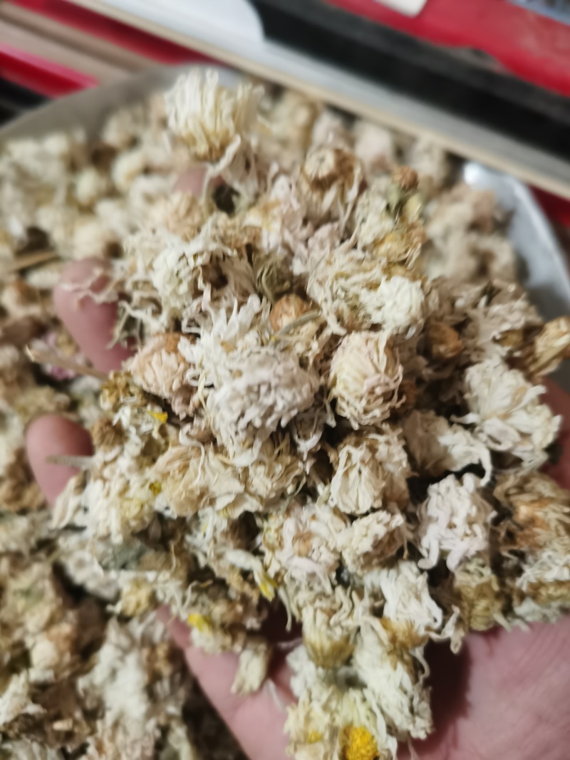 菊花正品药用小朵菊花低价促销泽润中药