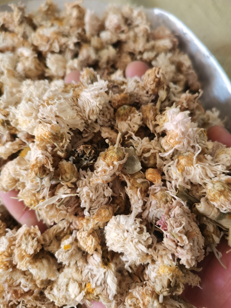 菊花正品药用小朵菊花低价促销泽润中药