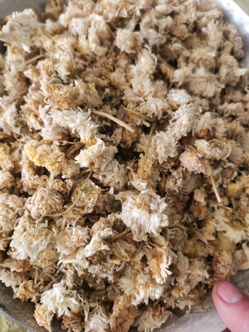 菊花正品药用小朵菊花低价促销泽润中药