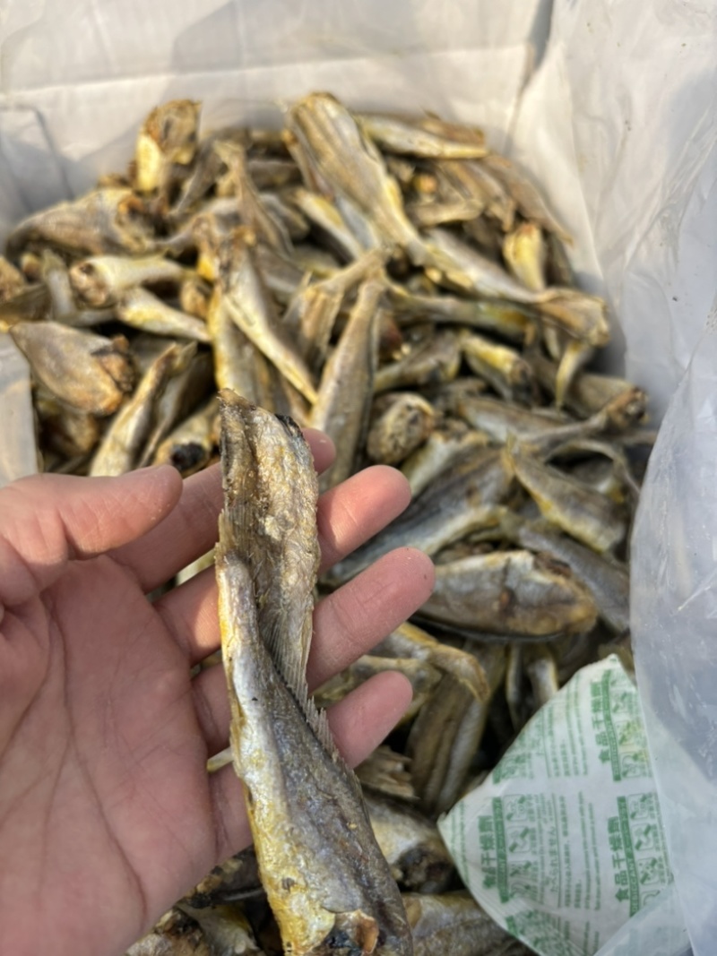 「推荐」香酥小黄鱼、酥酥脆脆都可以自产自销保质保量