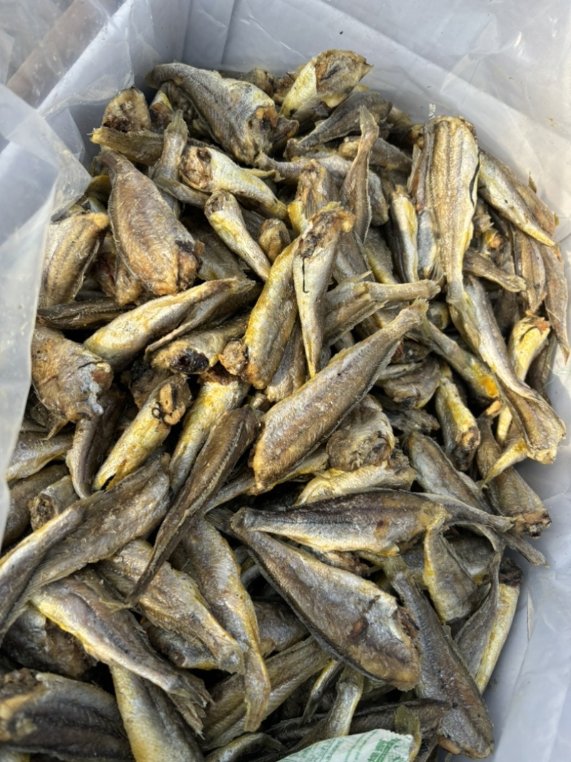 「推荐」香酥小黄鱼、酥酥脆脆都可以自产自销保质保量