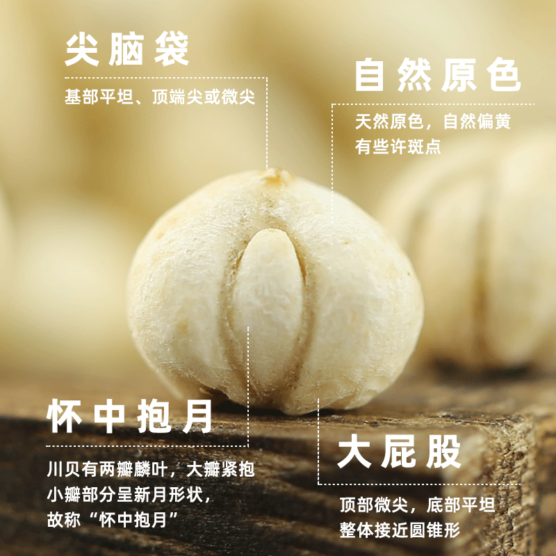 无硫川贝平贝川贝母贝母平贝母松贝