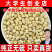 无硫川贝平贝川贝母贝母平贝母松贝