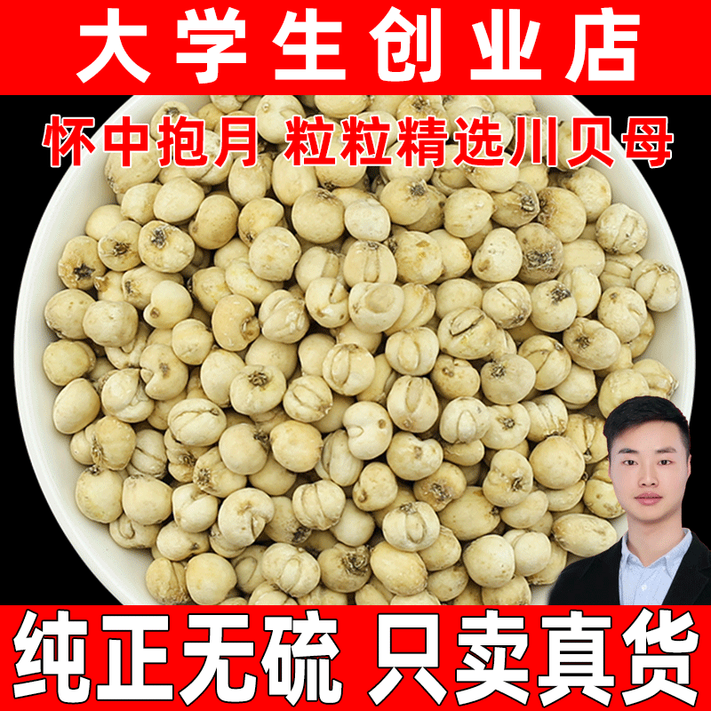 无硫川贝平贝川贝母贝母平贝母松贝