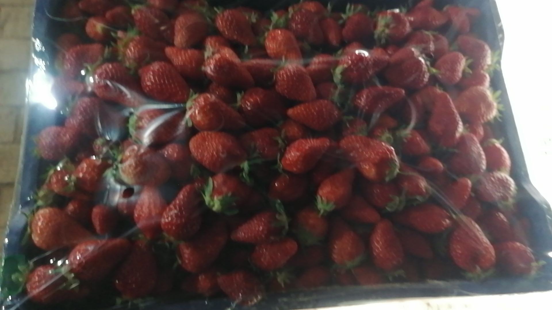 章姬与宁玉草莓外观对比图