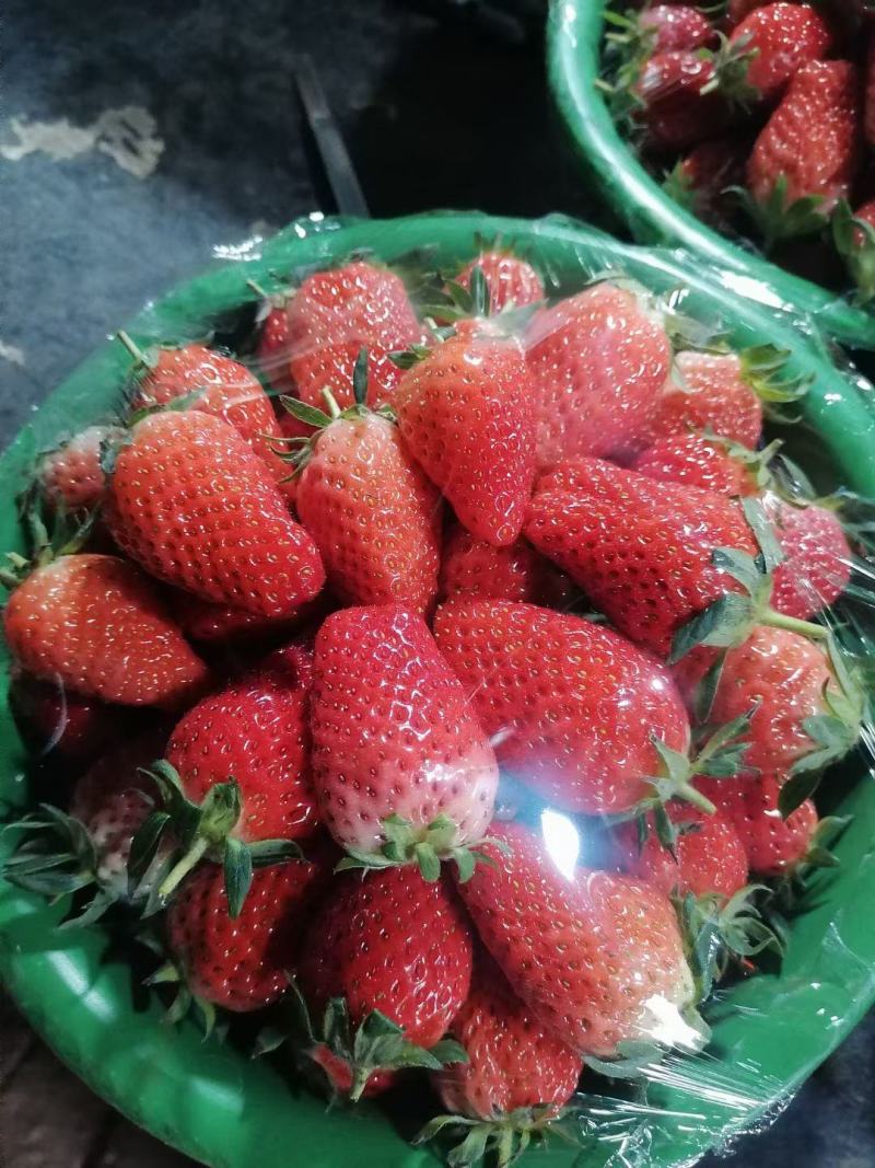 西安草莓产业园