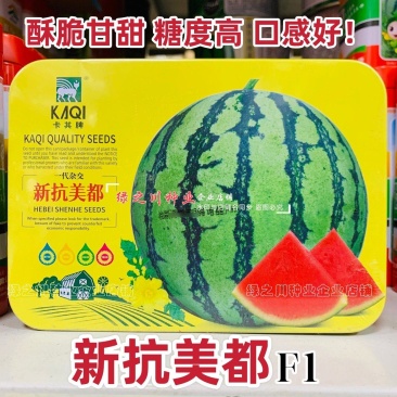 新品种西瓜种子卡其新抗美都西瓜种子糖度高甘甜酥脆圆形红瓤
