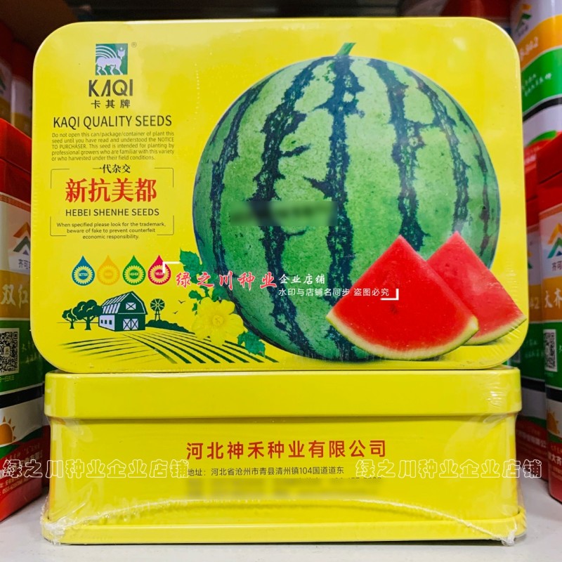 新品种西瓜种子卡其新抗美都西瓜种子糖度高甘甜酥脆圆形红瓤