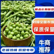 精品豌豆荚一手货源量大从优颗粒饱满质量保证