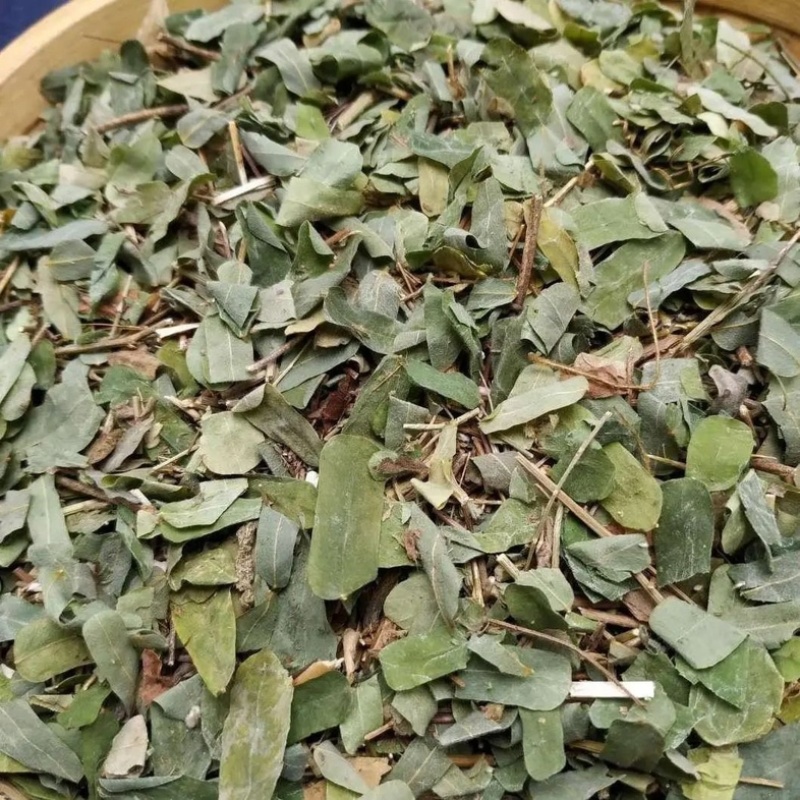 鸡骨草保庆药业批发鸡骨草大黄草黄头草