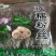 莲藕粉丝