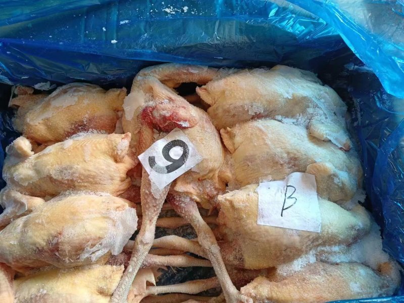 二级老母鸡，全净膛，纯干货，11公斤箱装的，现货出售