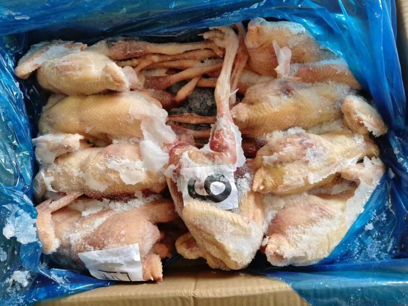 二级老母鸡，全净膛，纯干货，11公斤箱装的，现货出售