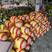 海南菠萝蜜-产地直供-品质保证-诚信可优惠-可看货
