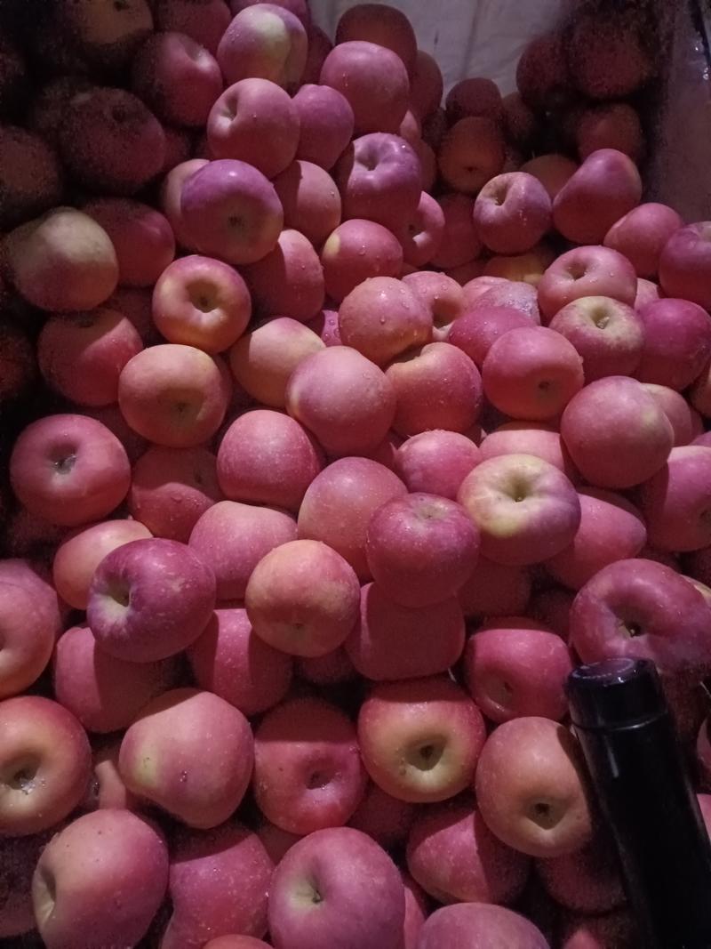 出口红富士苹果，全红苹果出口代加工，价低量大，全面供货。