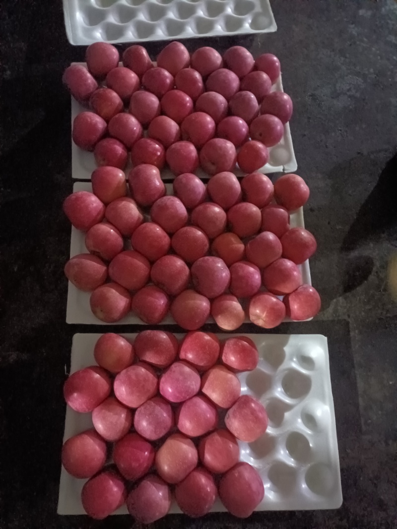 出口红富士苹果，全红苹果出口代加工，价低量大，全面供货。
