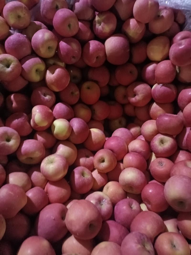 出口红富士苹果，全红苹果出口代加工，价低量大，全面供货。
