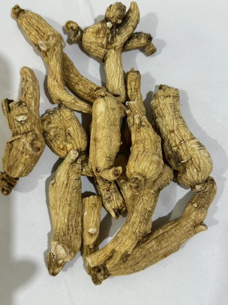 人参个白参人参干货整枝带须人参多种规格长白山人参