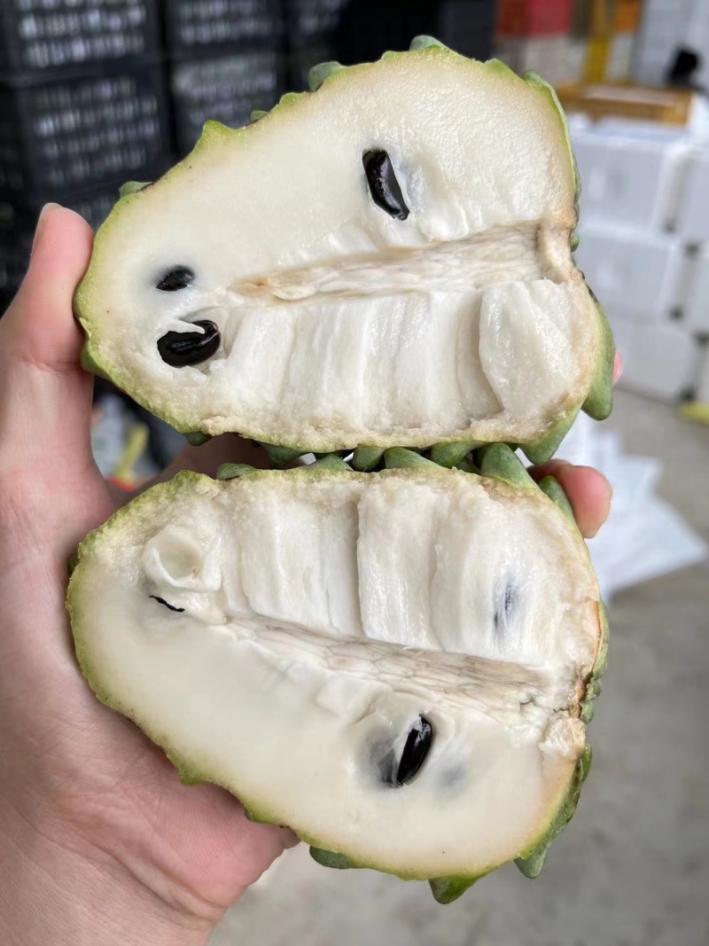 释迦