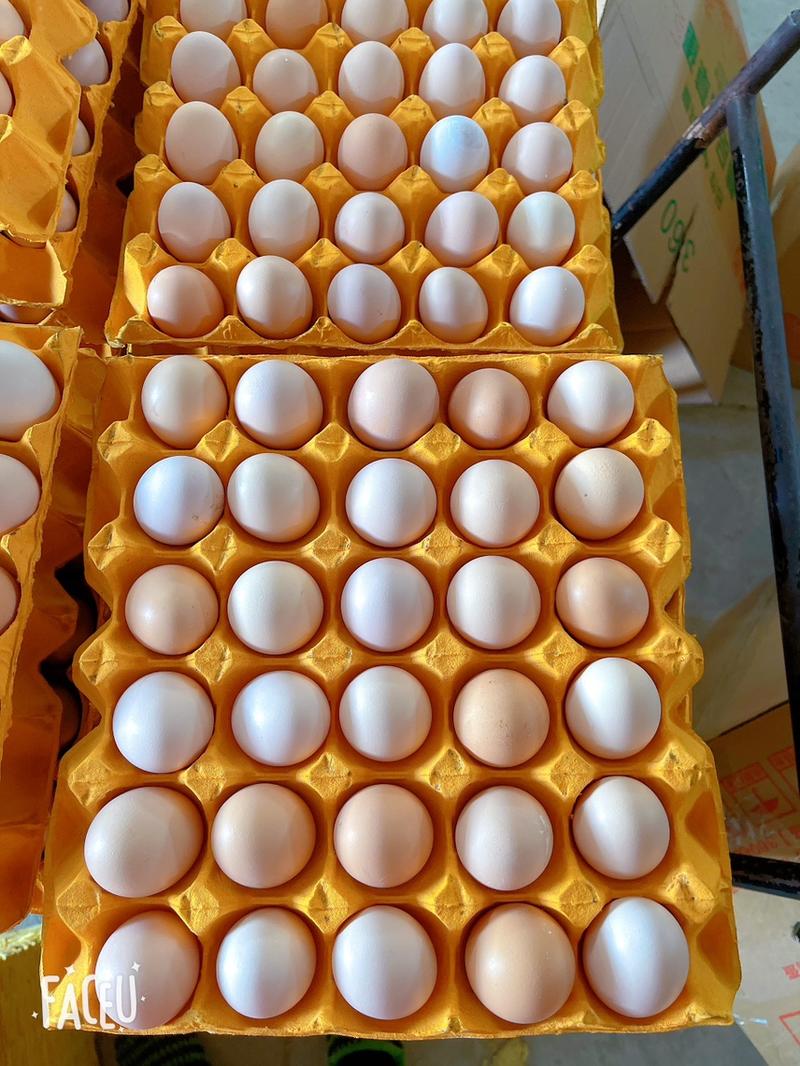 虫草鸡蛋