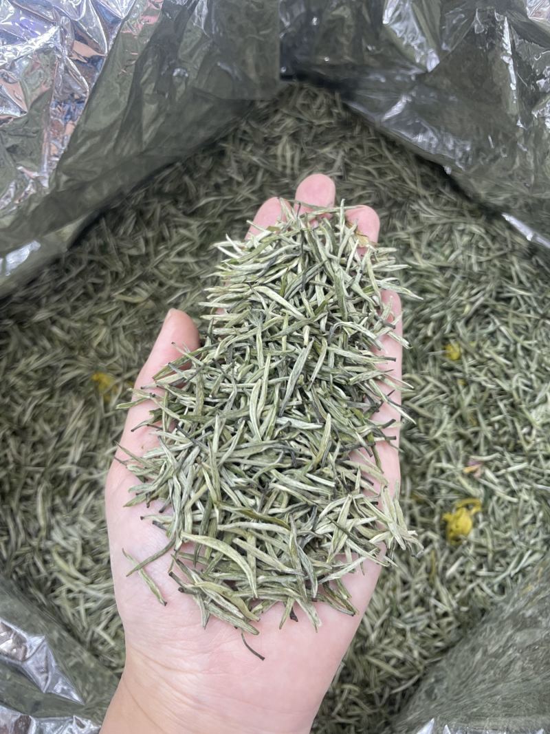 茉莉花茶2024新茶特级飘雪七窖浓香型一斤也是批发价！