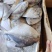 山东威海船冻板银鲳鱼供应，厂家直发，保质保量