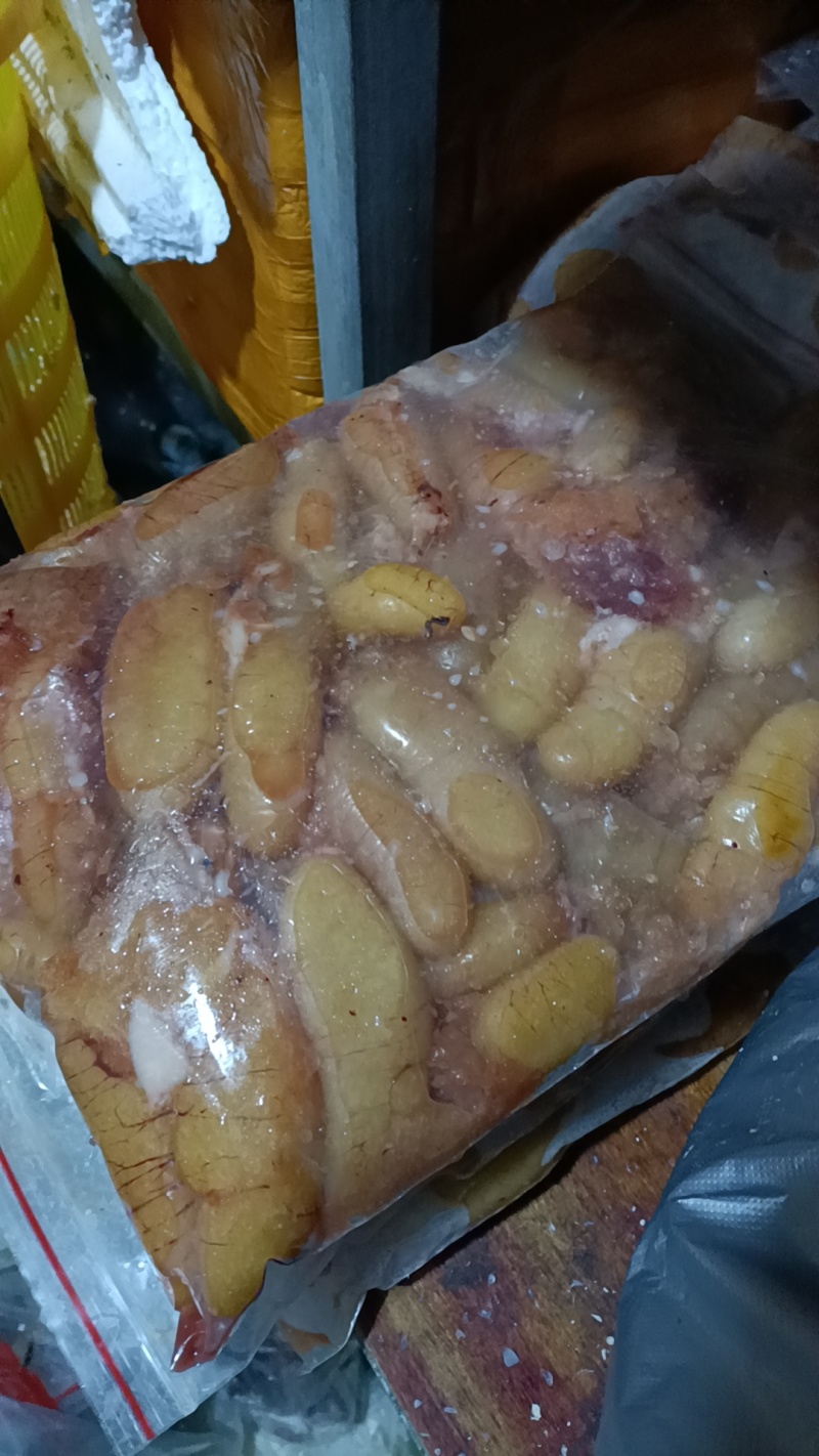 鲈鱼粒