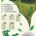 湘西稀有莓茶