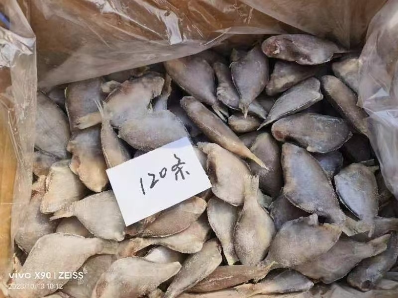 三去香鱼