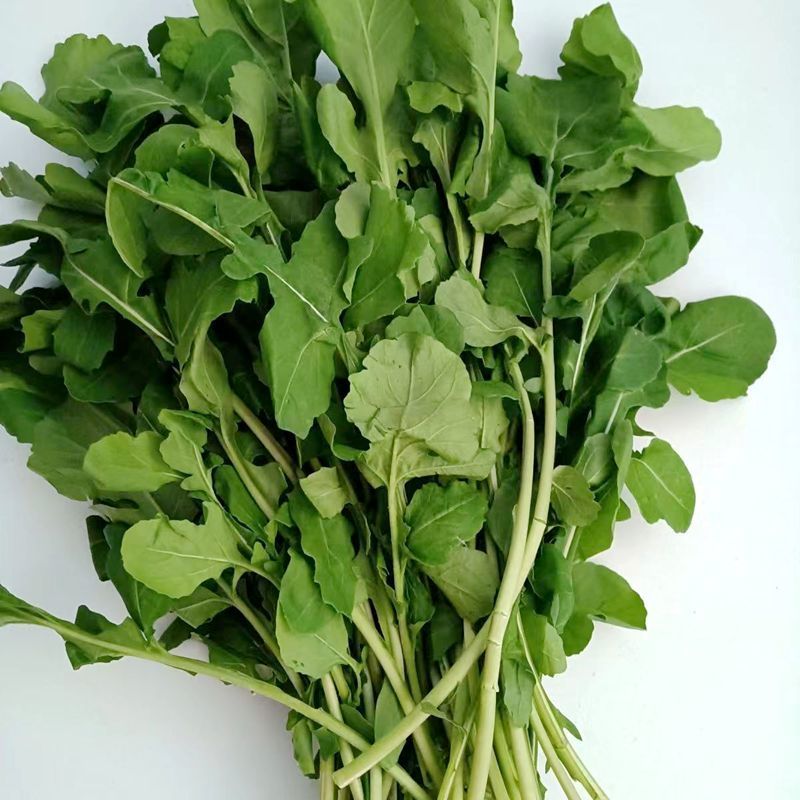 正宗东北新鲜臭菜大叶臭菜蘸酱菜新鲜蔬菜全国发货
