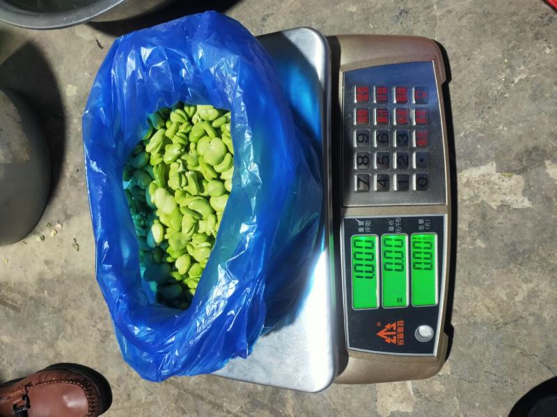 豌豆粒，蚕豆瓣
