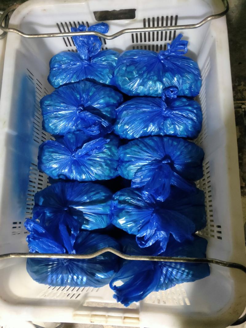 豌豆粒，蚕豆瓣