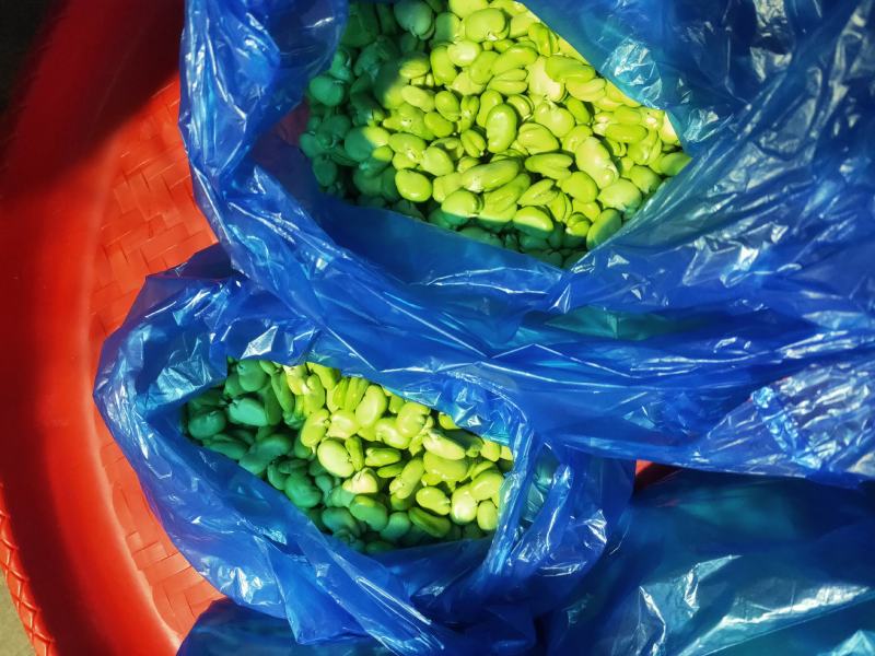 豌豆粒，蚕豆瓣