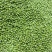 豌豆粒，蚕豆瓣