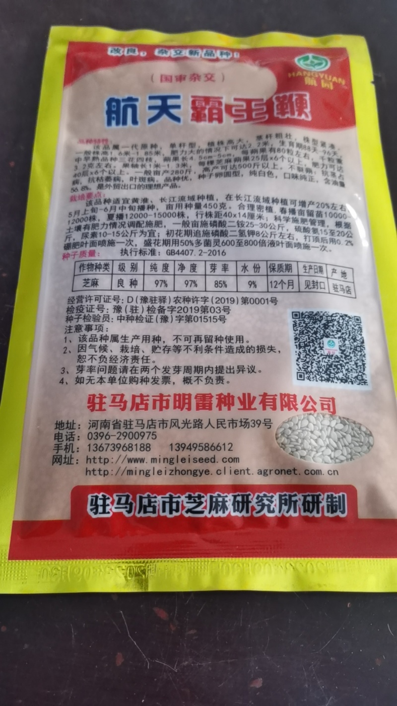 白芝麻种子