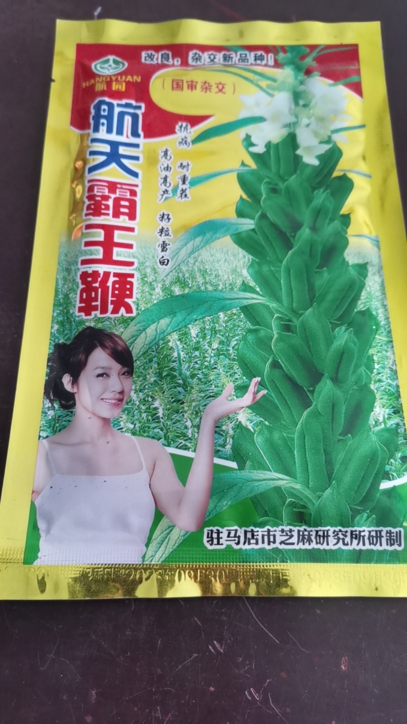 白芝麻种子