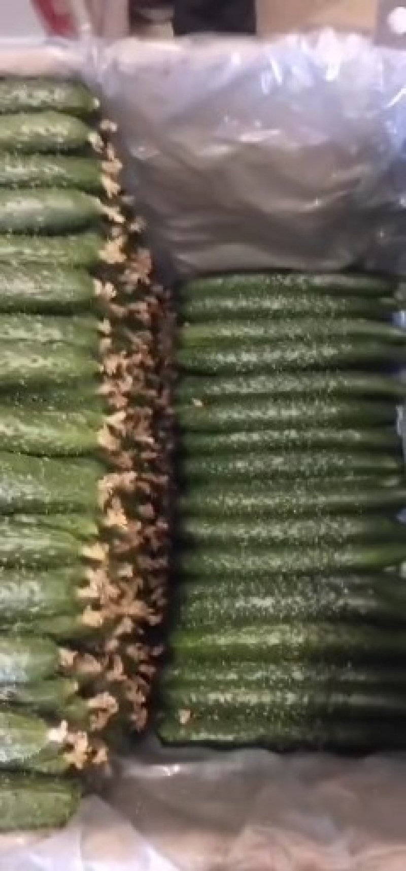 密刺黄瓜
