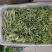 精品土培黄豆芽苗菜