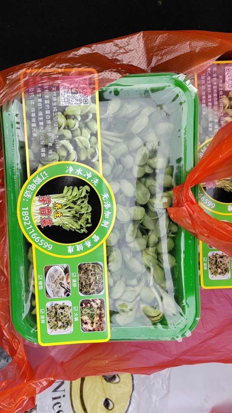 精品土培黄豆芽苗菜