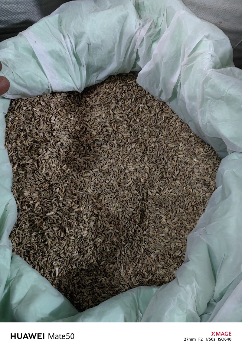 小茴香精品无杂质新货颜色青万信药业只做保真药材