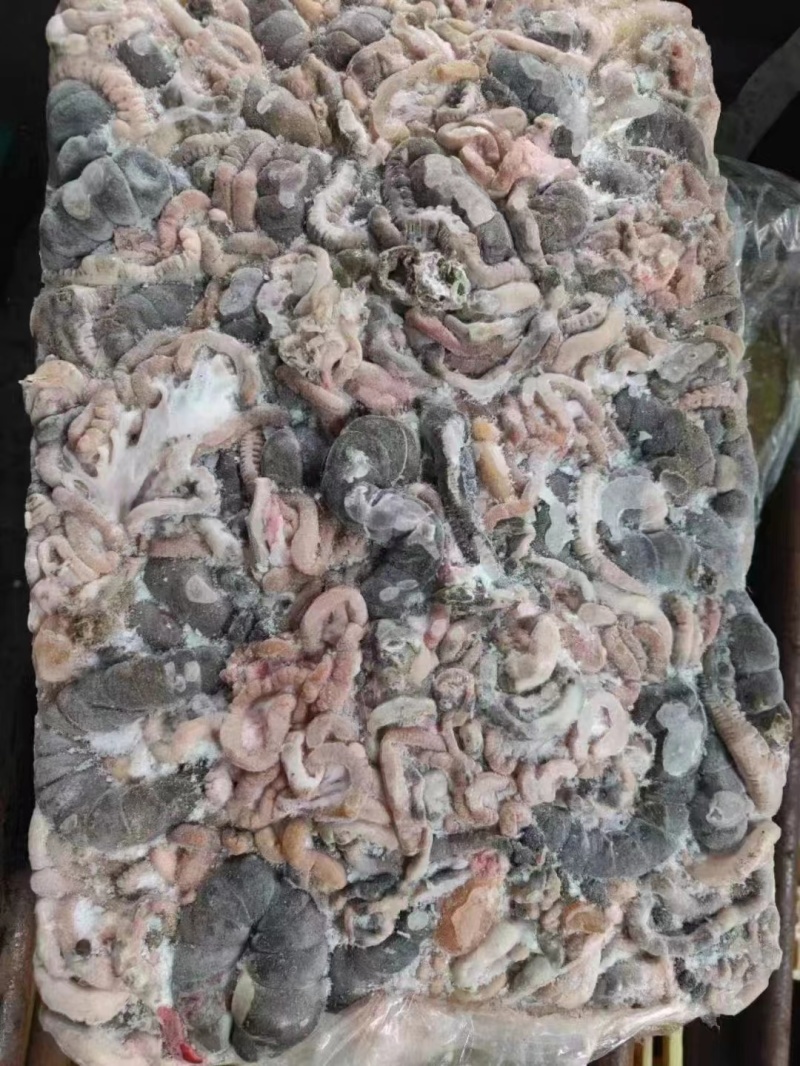 兔肠（饲料级）