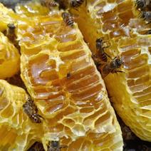 （）农家土蜂蜜，，质量保证，一手货源，