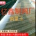 防鸟网厂家直销，支持定制加工，尺寸根据自己情况更合适
