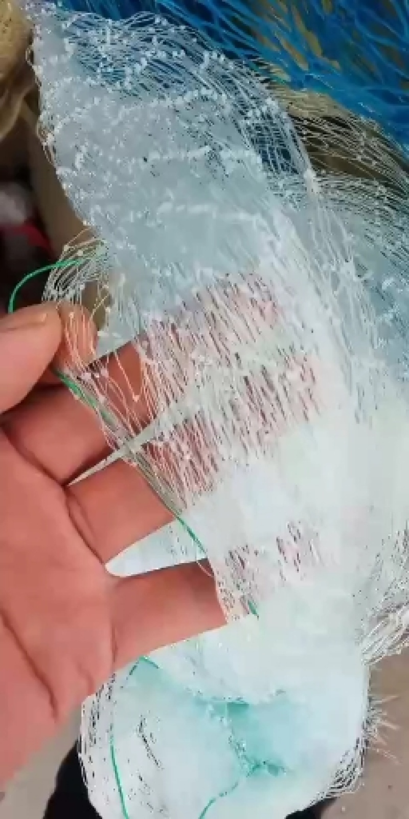 防鸟网，定制加工，尺寸可调，厂家直销，价优质好，质量保证