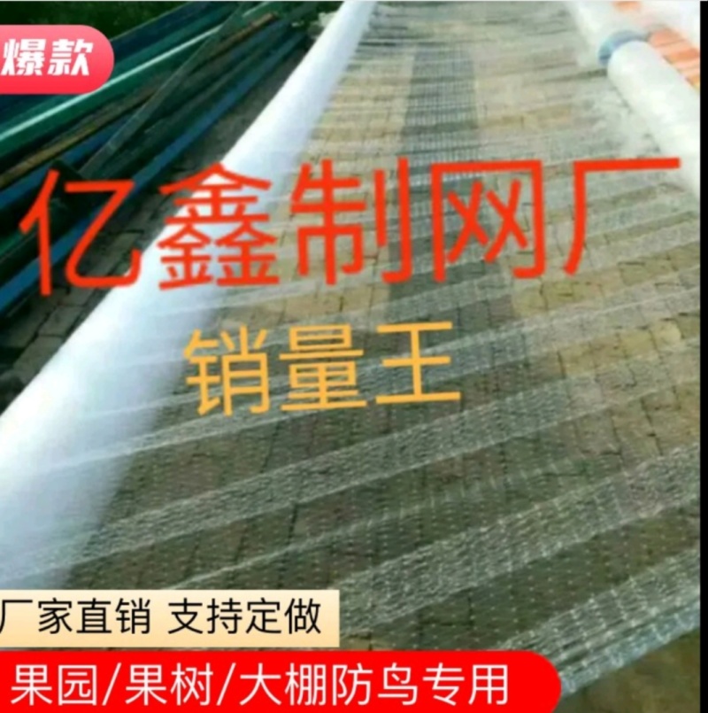 防鸟网，渔塘等定制加工，大量供应，欢迎来电采购