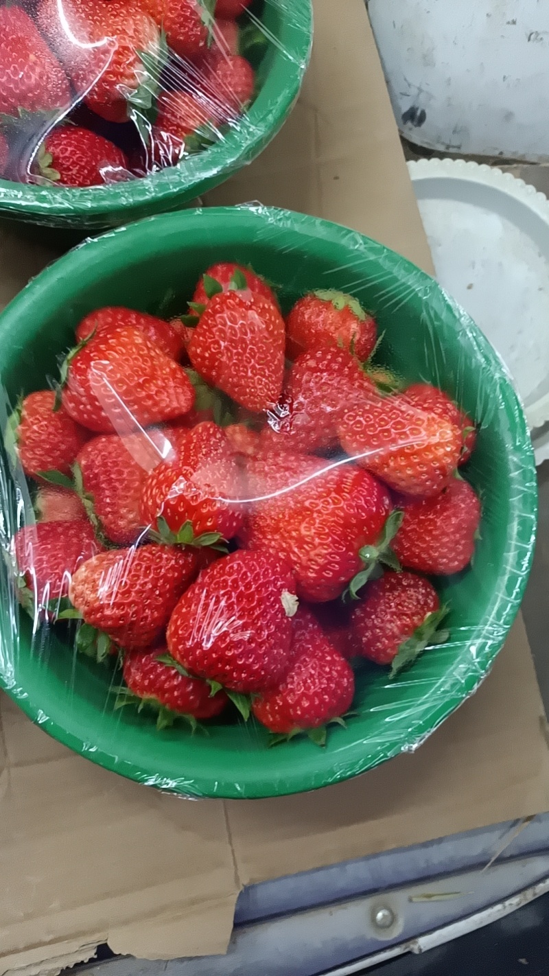 奶油草莓