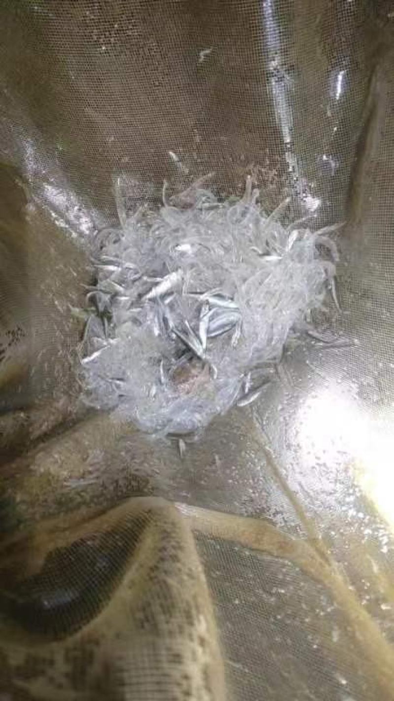 产地直发，质量保证，售后无忧