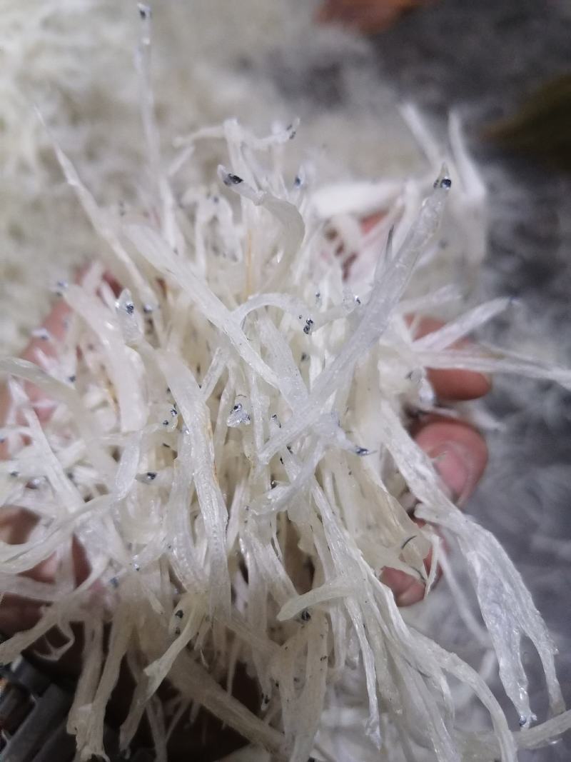 产地直发，质量保证，售后无忧