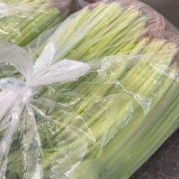 精品香芹